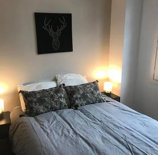 Bel Appartement 6P Tours Centre