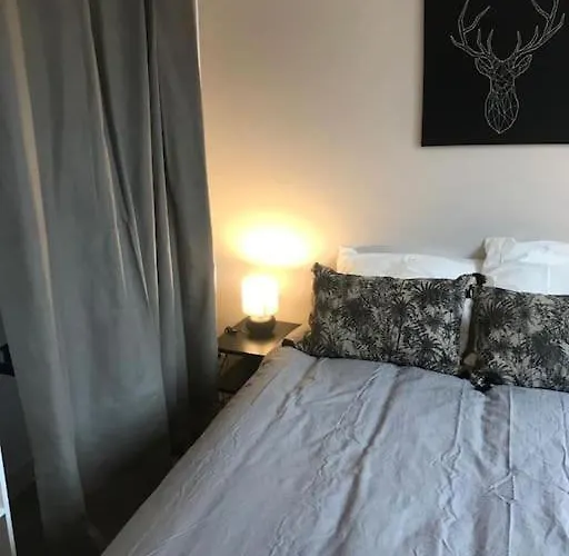 Bel Appartement 6P Tours Centre